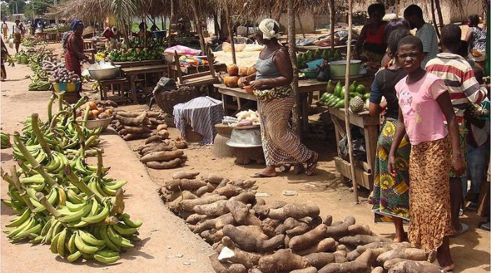 Côte d'Ivoire : Fuite des produits agricoles vers les pays voisins,un